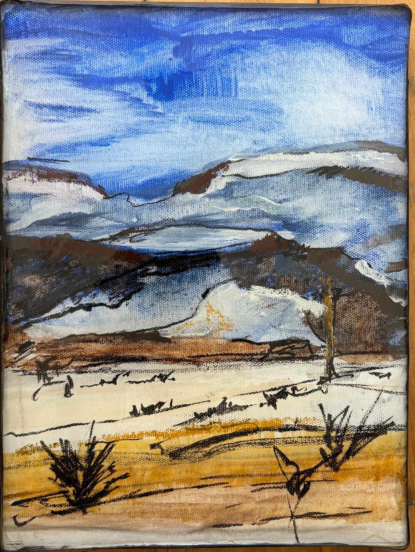The Arid Zone 3