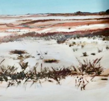Edge of the Nullarbor, SA